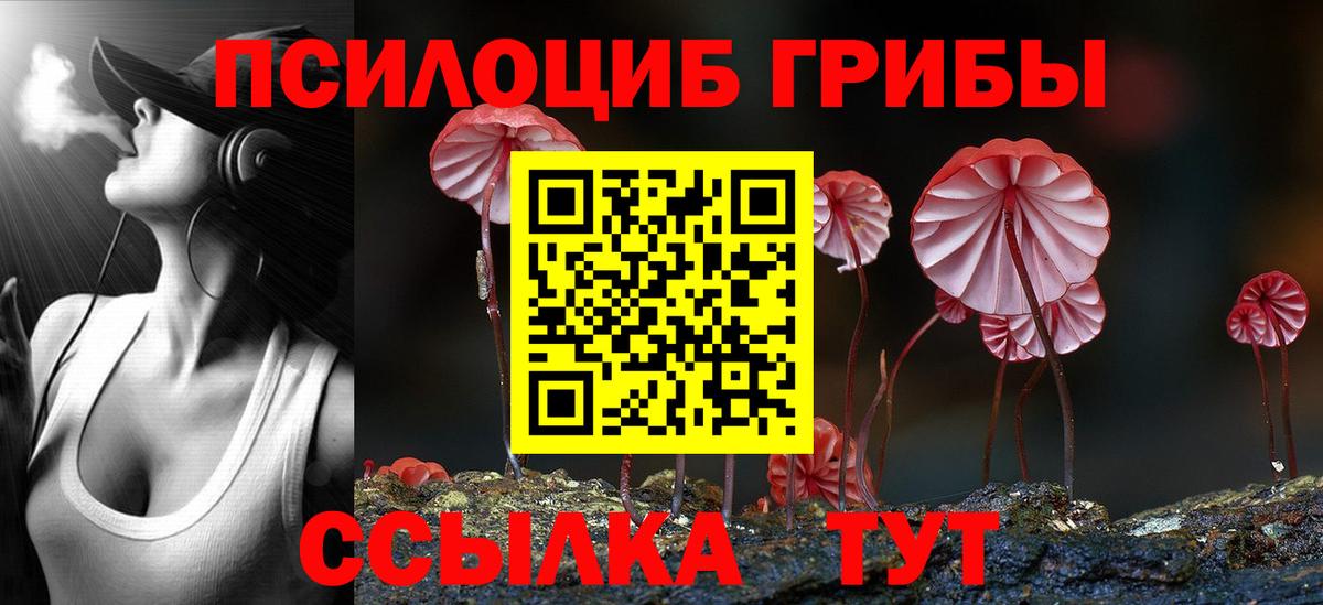 Псилоцибиновые грибы прущие грибы  Вход с VPN  Новоалександровск 
